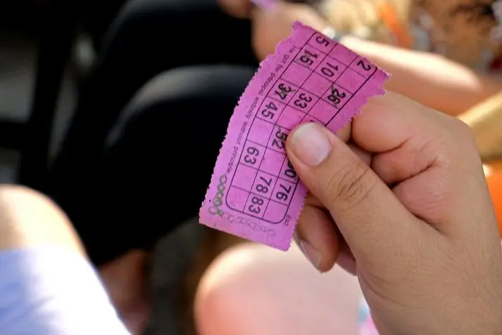 bingo facts