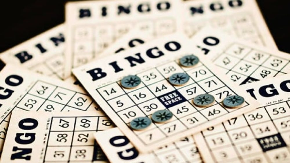 Bingo History Image